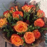 Dozen High and Magic