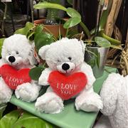 Small Valentines Bear 