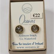 Ardmore Beach earings